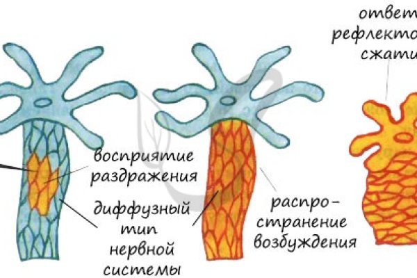 Оригинальная ссылка на магазин кракен