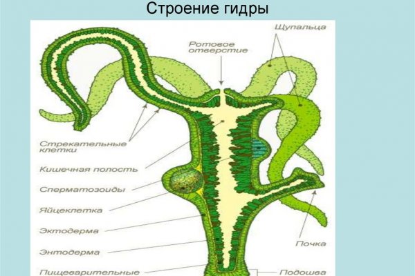 Аутентификатор кракен