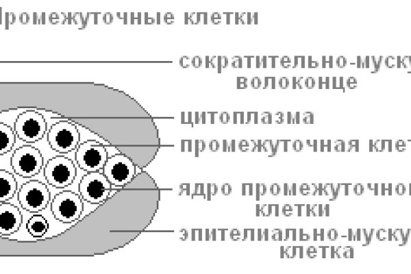 Кракен площадка нарко