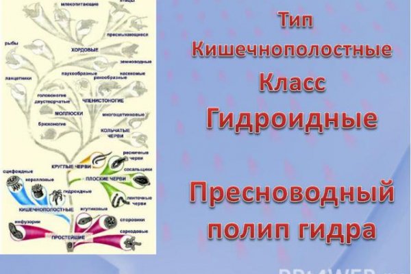 Kraken market зеркала
